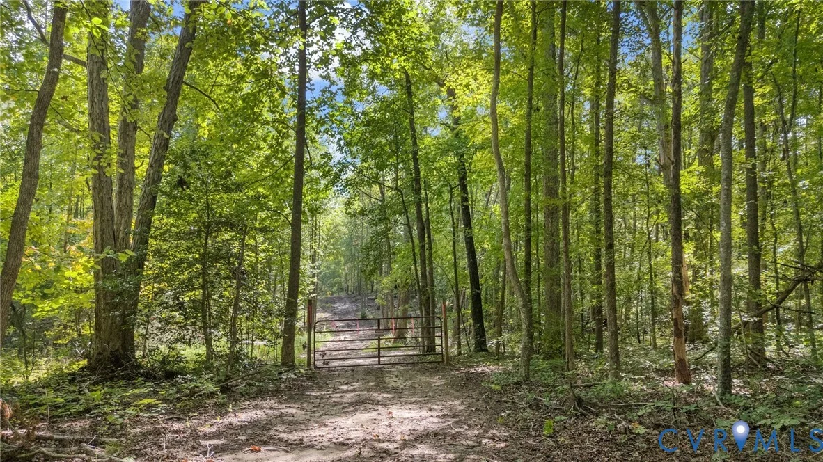 0 Davis Mill Road, Goochland, VA, 23063