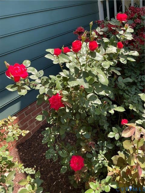 Tiny photo for 12705 Walton Ridge Lane, Midlothian, VA 23114 (MLS # 2621781)