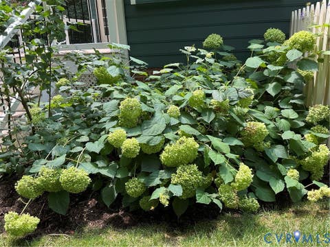 Tiny photo for 12705 Walton Ridge Lane, Midlothian, VA 23114 (MLS # 2621781)