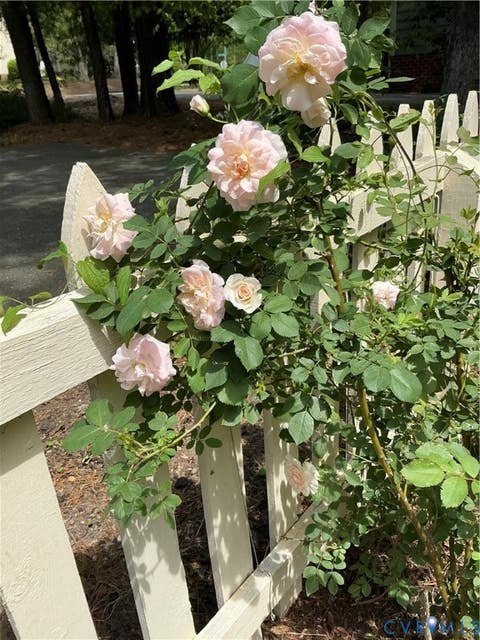 Tiny photo for 12705 Walton Ridge Lane, Midlothian, VA 23114 (MLS # 2621781)