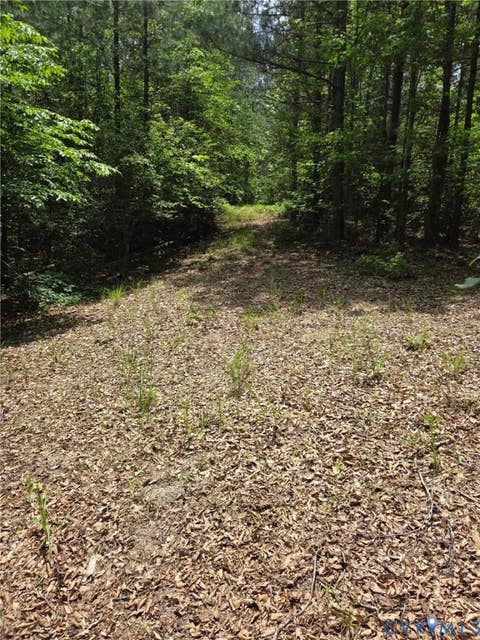 Tiny photo for 1333 Stewarts Road, Lanexa, VA 23089 (MLS # 2615095)
