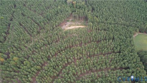 Tiny photo for 22 ACRES Rainey Creek Road, Mc Kenney, VA 23872 (MLS # 2529467)