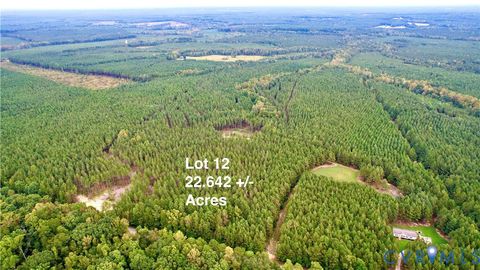 Photo of 22 ACRES Rainey Creek Road, Mc Kenney, VA 23872 (MLS # 2529467) Photo of 22 ACRES Rainey Creek Road, Mc Kenney, VA 23872 (MLS # 2529467)