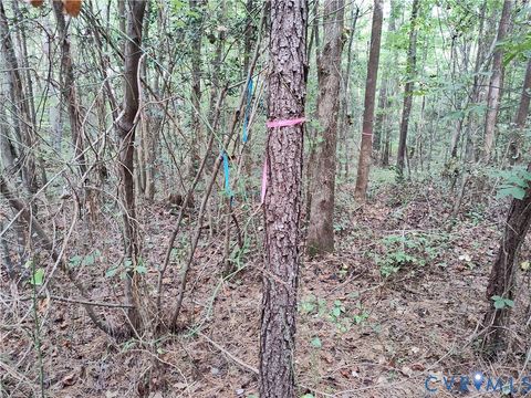 Tiny photo for 22 ACRES Rainey Creek Road, Mc Kenney, VA 23872 (MLS # 2529467)