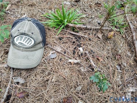 Tiny photo for 22 ACRES Rainey Creek Road, Mc Kenney, VA 23872 (MLS # 2529467)