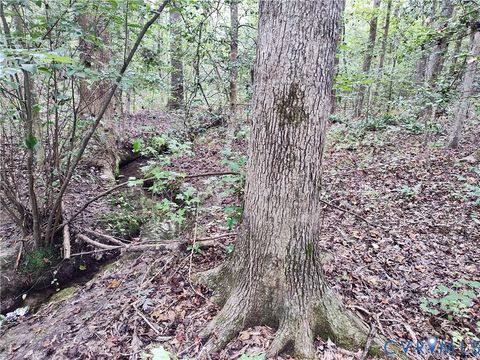 Tiny photo for 22 ACRES Rainey Creek Road, Mc Kenney, VA 23872 (MLS # 2529467)