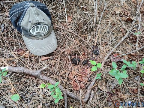 Tiny photo for 22 ACRES Rainey Creek Road, Mc Kenney, VA 23872 (MLS # 2529467)