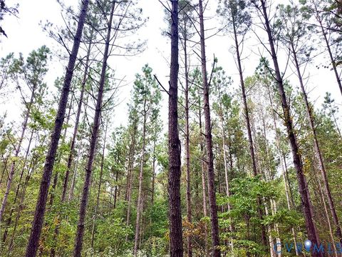 Tiny photo for 22 ACRES Rainey Creek Road, Mc Kenney, VA 23872 (MLS # 2529467)