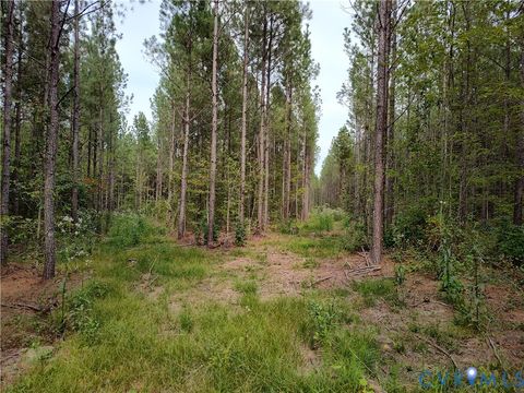 Tiny photo for 22 ACRES Rainey Creek Road, Mc Kenney, VA 23872 (MLS # 2529467)