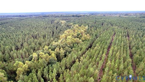 Tiny photo for 22 ACRES Rainey Creek Road, Mc Kenney, VA 23872 (MLS # 2529467)