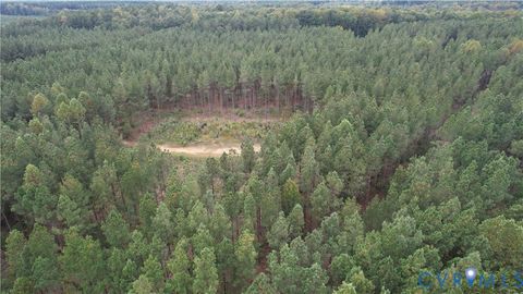 Tiny photo for 22 ACRES Rainey Creek Road, Mc Kenney, VA 23872 (MLS # 2529467)