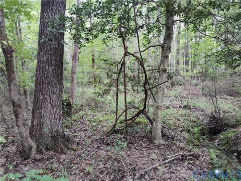 Tiny photo for 22 ACRES Rainey Creek Road, Mc Kenney, VA 23872 (MLS # 2529467)
