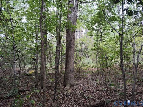 Tiny photo for 22 ACRES Rainey Creek Road, Mc Kenney, VA 23872 (MLS # 2529467)