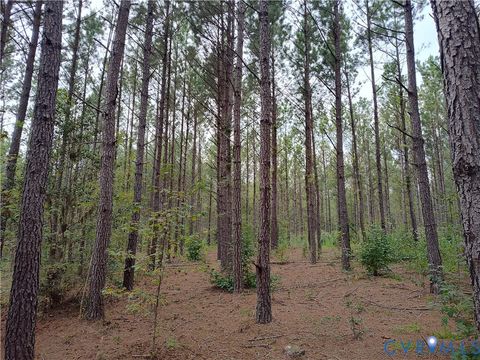 Tiny photo for 22 ACRES Rainey Creek Road, Mc Kenney, VA 23872 (MLS # 2529467)