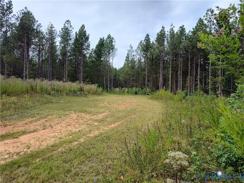 Tiny photo for 22 ACRES Rainey Creek Road, Mc Kenney, VA 23872 (MLS # 2529467)