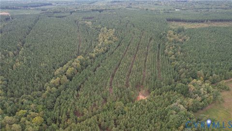 Tiny photo for 22 ACRES Rainey Creek Road, Mc Kenney, VA 23872 (MLS # 2529467)
