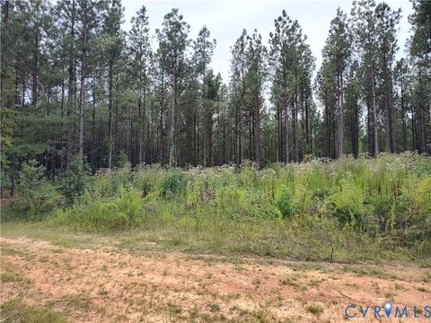 Tiny photo for 22 ACRES Rainey Creek Road, Mc Kenney, VA 23872 (MLS # 2529467)