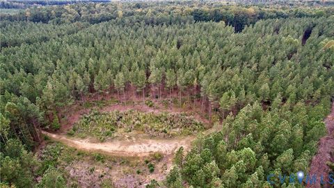 Tiny photo for 22 ACRES Rainey Creek Road, Mc Kenney, VA 23872 (MLS # 2529467)