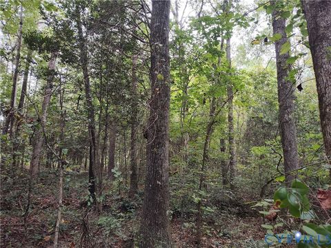 Tiny photo for 22 ACRES Rainey Creek Road, Mc Kenney, VA 23872 (MLS # 2529467)