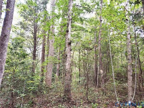 Tiny photo for 22 ACRES Rainey Creek Road, Mc Kenney, VA 23872 (MLS # 2529467)