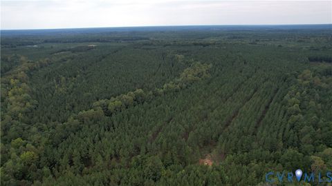 Tiny photo for 22 ACRES Rainey Creek Road, Mc Kenney, VA 23872 (MLS # 2529467)