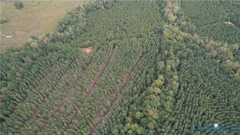 Tiny photo for 22 ACRES Rainey Creek Road, Mc Kenney, VA 23872 (MLS # 2529467)