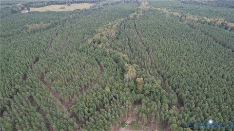 Tiny photo for 22 ACRES Rainey Creek Road, Mc Kenney, VA 23872 (MLS # 2529467)