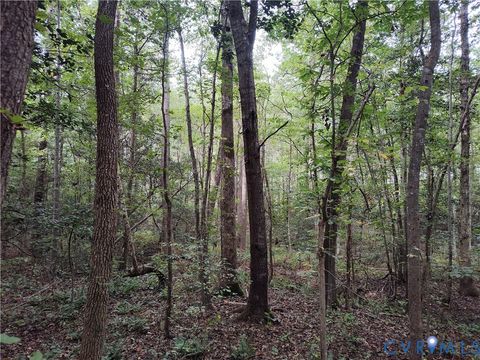 Tiny photo for 22 ACRES Rainey Creek Road, Mc Kenney, VA 23872 (MLS # 2529467)