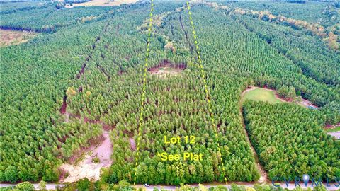 Tiny photo for 22 ACRES Rainey Creek Road, Mc Kenney, VA 23872 (MLS # 2529467)