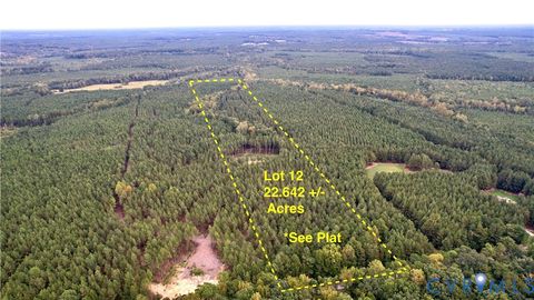 Tiny photo for 22 ACRES Rainey Creek Road, Mc Kenney, VA 23872 (MLS # 2529467)