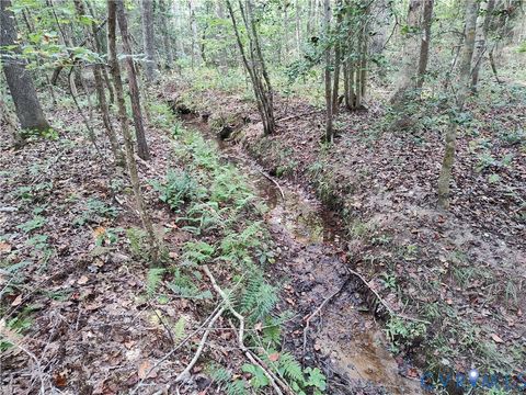 Tiny photo for 22 ACRES Rainey Creek Road, Mc Kenney, VA 23872 (MLS # 2529467)