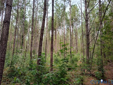 Tiny photo for 22 ACRES Rainey Creek Road, Mc Kenney, VA 23872 (MLS # 2529467)
