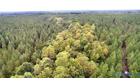 Tiny photo for 22 ACRES Rainey Creek Road, Mc Kenney, VA 23872 (MLS # 2529467)