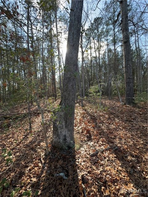 Lot 3 Mill Quarter Rd Ford VA 23850