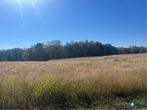 Tiny photo for OOO Moody Town Road, Louisa, VA 23024 (MLS # 2628862)