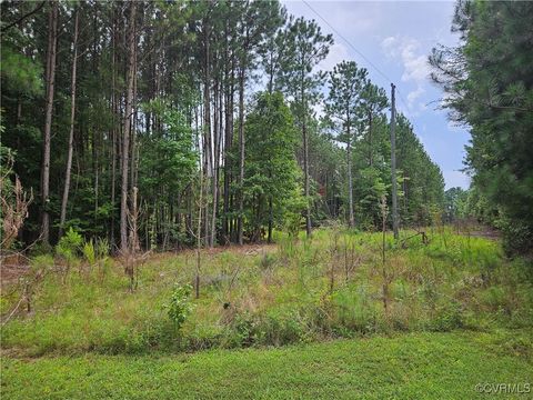 Tiny photo for 154 King Bee Trail Trl, Lawrenceville, VA 23920 (MLS # 2519921)