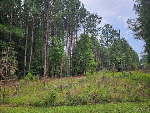 Tiny photo for 154 King Bee Trail Trl, Lawrenceville, VA 23920 (MLS # 2519921)