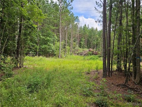 Tiny photo for 154 King Bee Trail Trl, Lawrenceville, VA 23920 (MLS # 2519921)