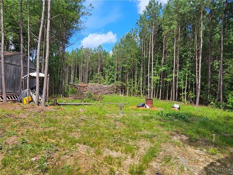 Tiny photo for 154 King Bee Trail Trl, Lawrenceville, VA 23920 (MLS # 2519921)