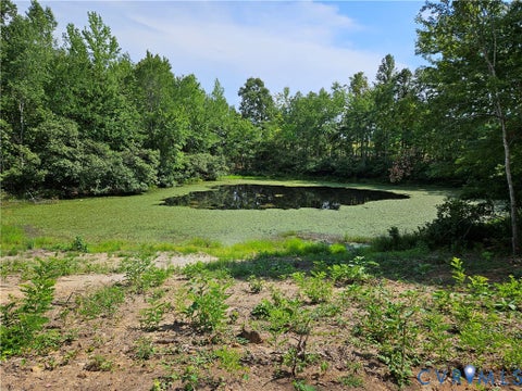 Photo of 5 Acres Selma Rd, Jetersville, VA 23083 (MLS # 2623855)