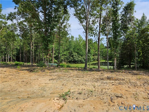 Tiny photo for 5 Acres Selma Rd, Jetersville, VA 23083 (MLS # 2623855)