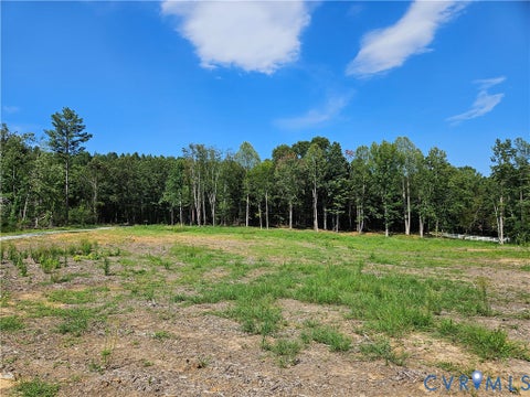 Tiny photo for 5 Acres Selma Rd, Jetersville, VA 23083 (MLS # 2623855)