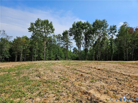 Tiny photo for 5 Acres Selma Rd, Jetersville, VA 23083 (MLS # 2623855)