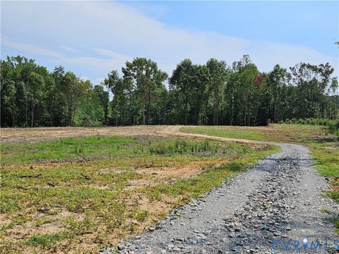 Tiny photo for 5 Acres Selma Rd, Jetersville, VA 23083 (MLS # 2623855)