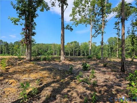 Tiny photo for 5 Acres Selma Rd, Jetersville, VA 23083 (MLS # 2623855)