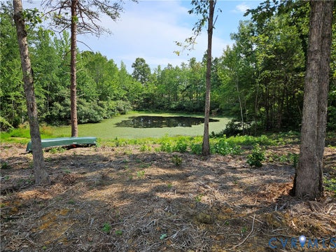 Tiny photo for 5 Acres Selma Rd, Jetersville, VA 23083 (MLS # 2623855)