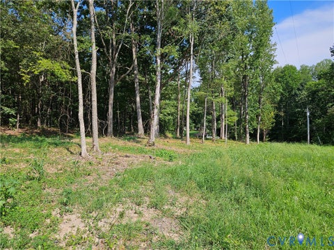 Tiny photo for 5 Acres Selma Rd, Jetersville, VA 23083 (MLS # 2623855)