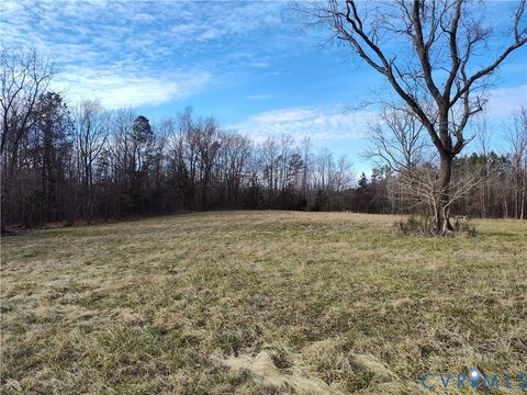 Tiny photo for 20825 Carson Road, Dinwiddie, VA 23841 (MLS # 2602346)