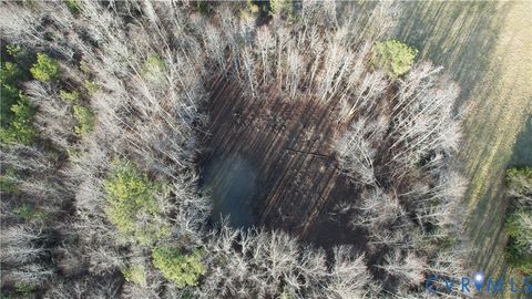 Tiny photo for 20825 Carson Road, Dinwiddie, VA 23841 (MLS # 2602346)