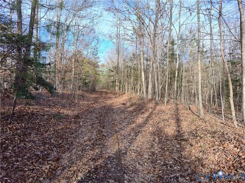 Tiny photo for 20825 Carson Road, Dinwiddie, VA 23841 (MLS # 2602346)
